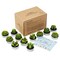 12 Pieces Cactus Tealight Candles,Handmade Delicate Succulent Cactus Candles for Party Wedding Spa Home Decoration Gifts